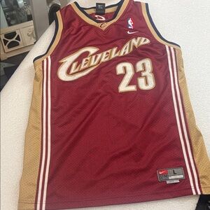 Nike Cavaliers Red and Gold Basketball authentic Jersey LeBron James